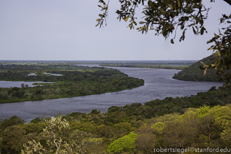 pantanal landscape